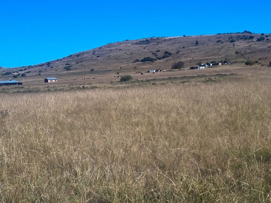 0 Bedroom Property for Sale in Paul Roux Free State